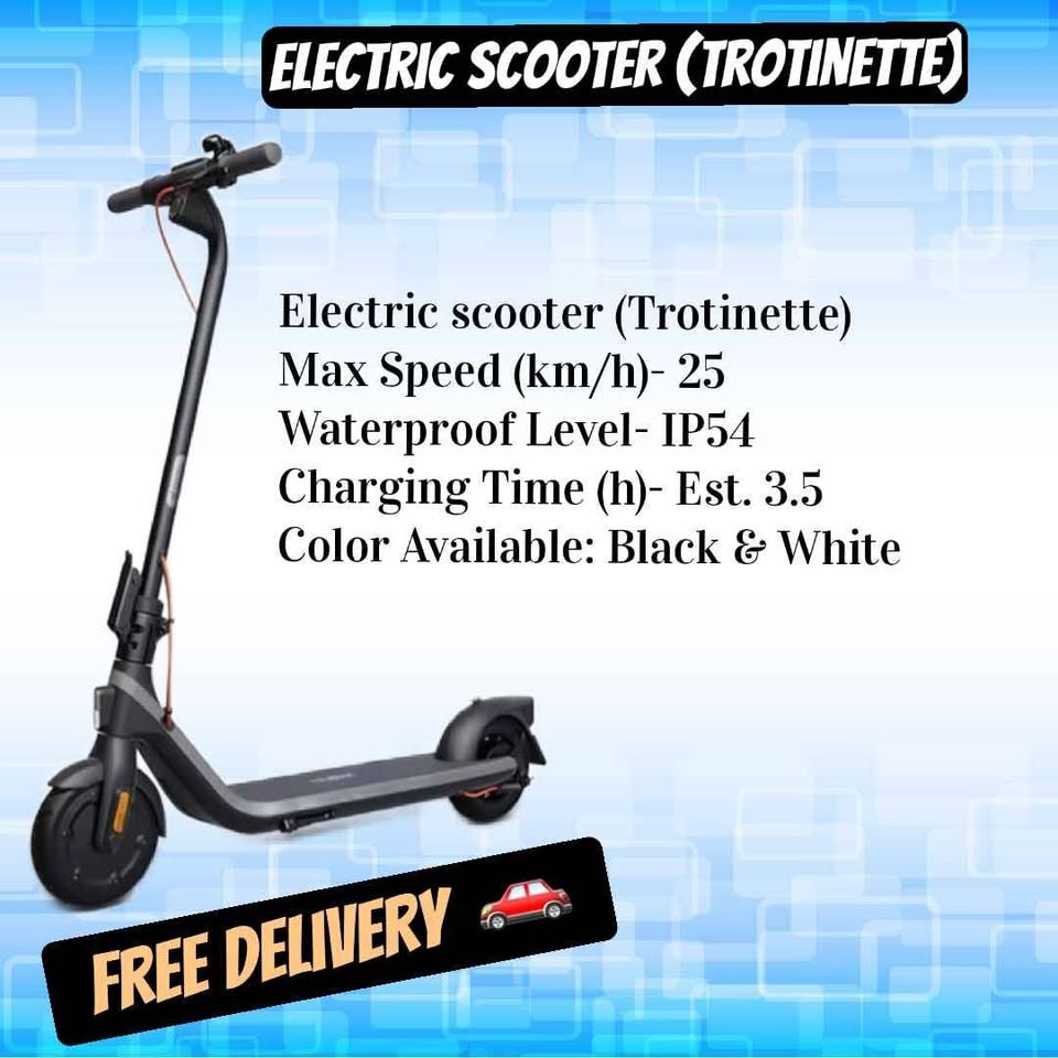 Foldable Electric Scooter (350W) - New