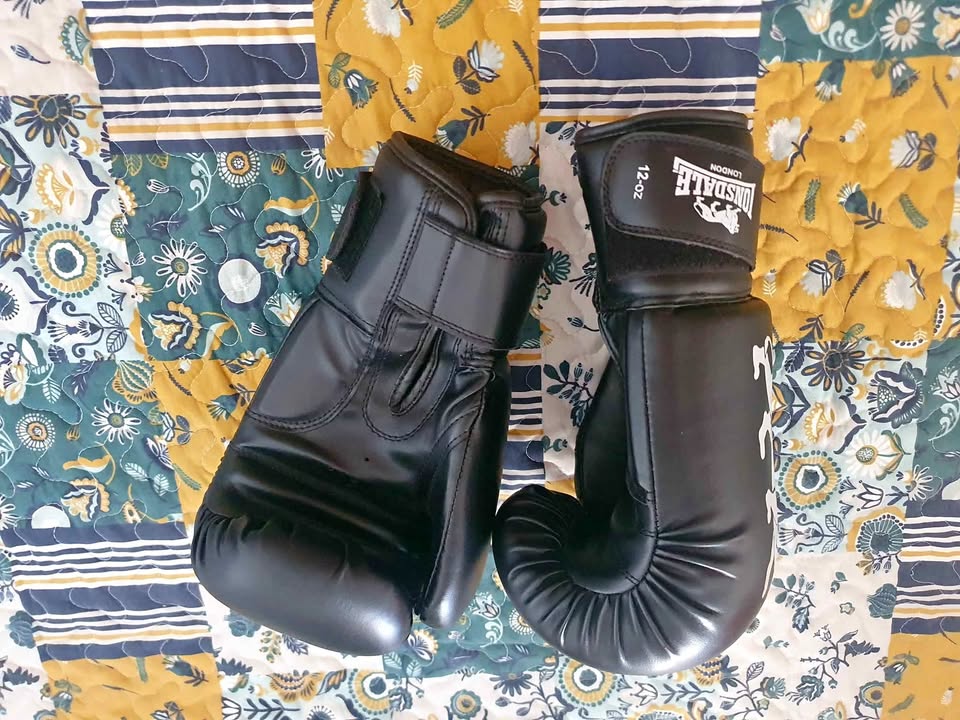 12 oz High-Quality Boxing Gloves - Used
