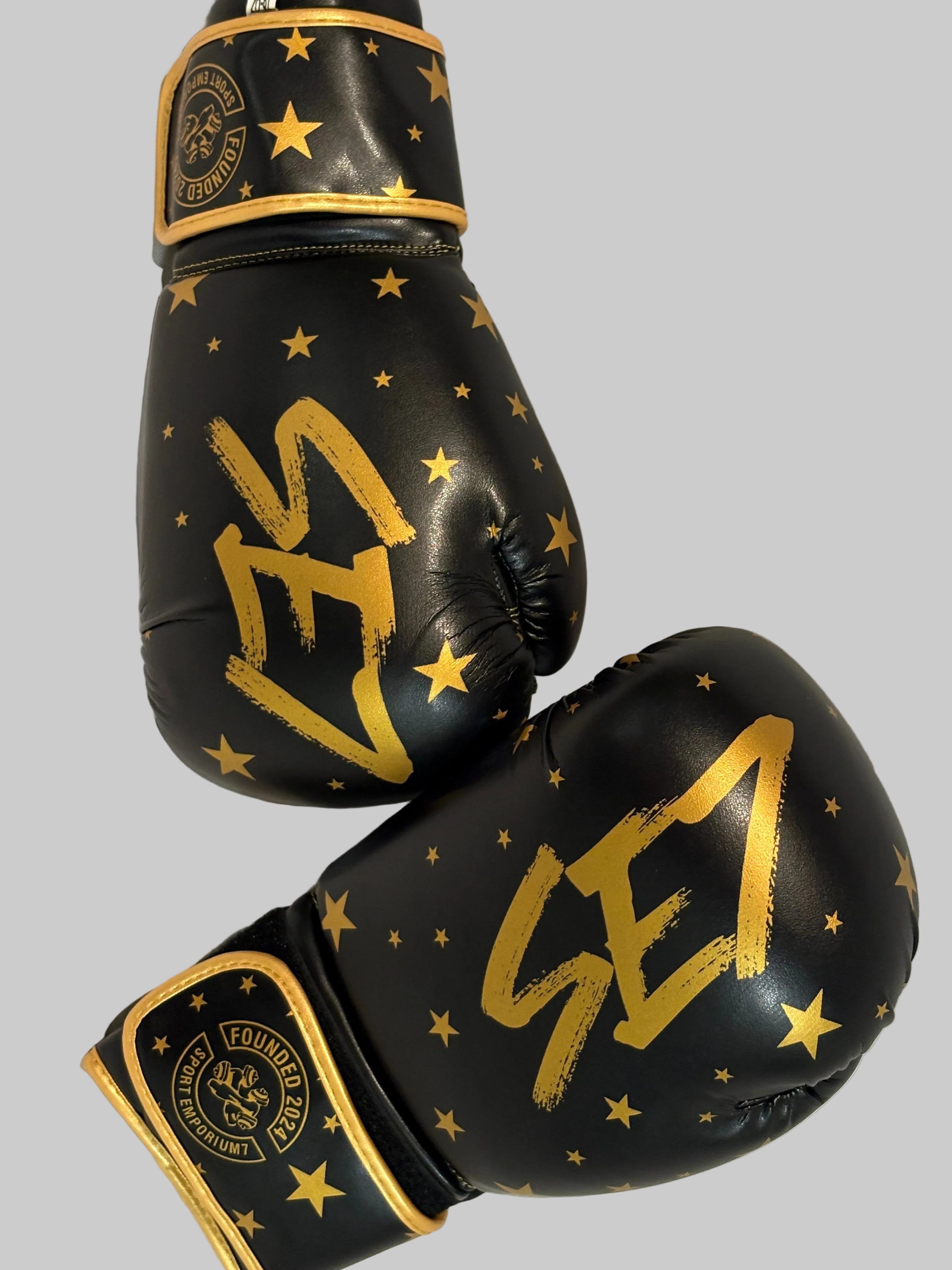 Official SE7 boxing gloves