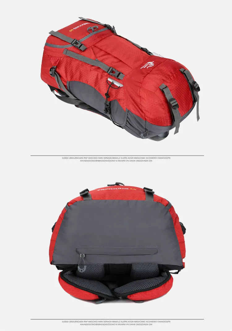 đ Multi-Purpose Outdoor Travel Backpack | 60L Big Capacity Rucksack | Ideal for Climbing, Hiking & Camping
