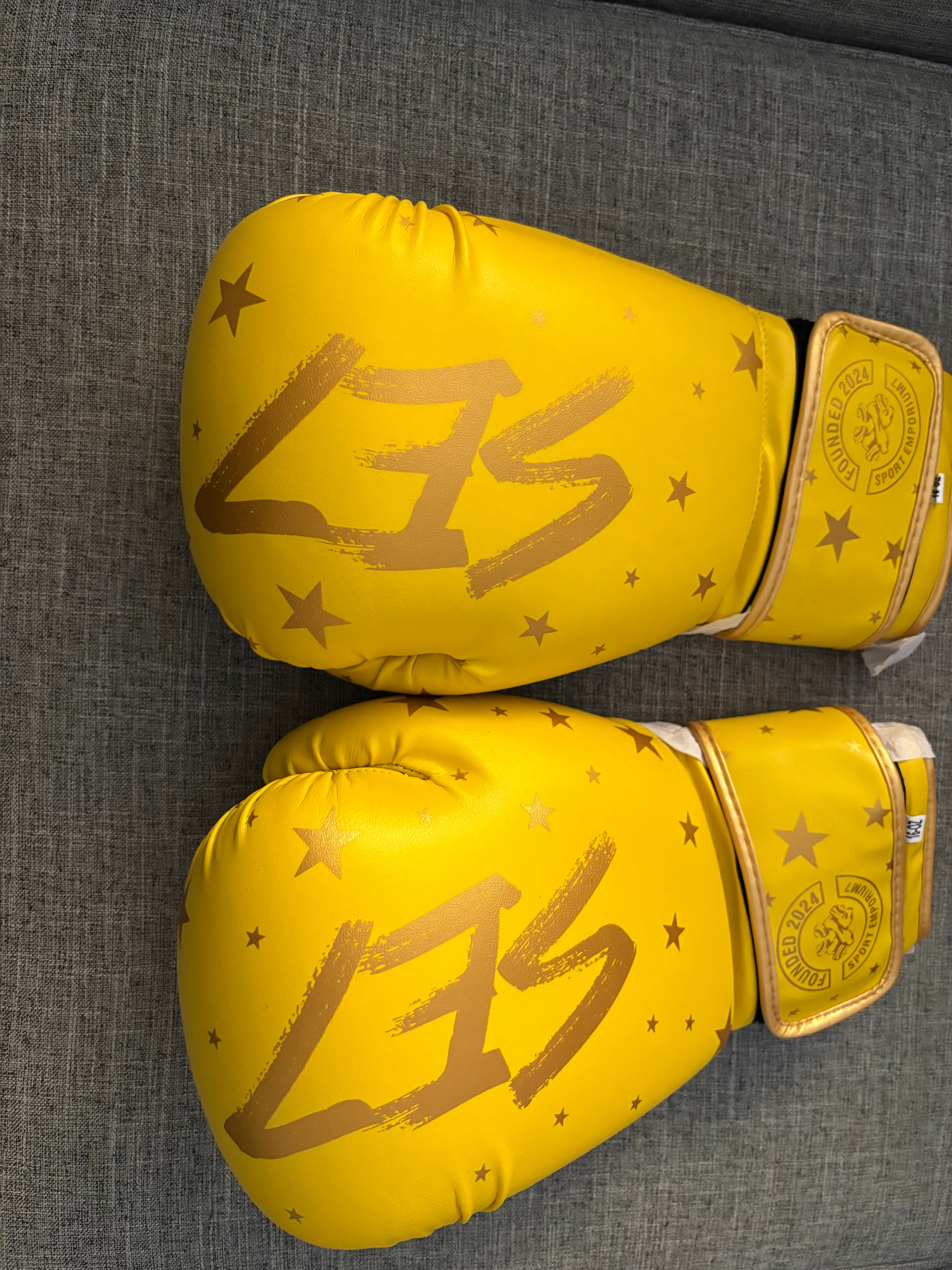 Official SE7 boxing gloves