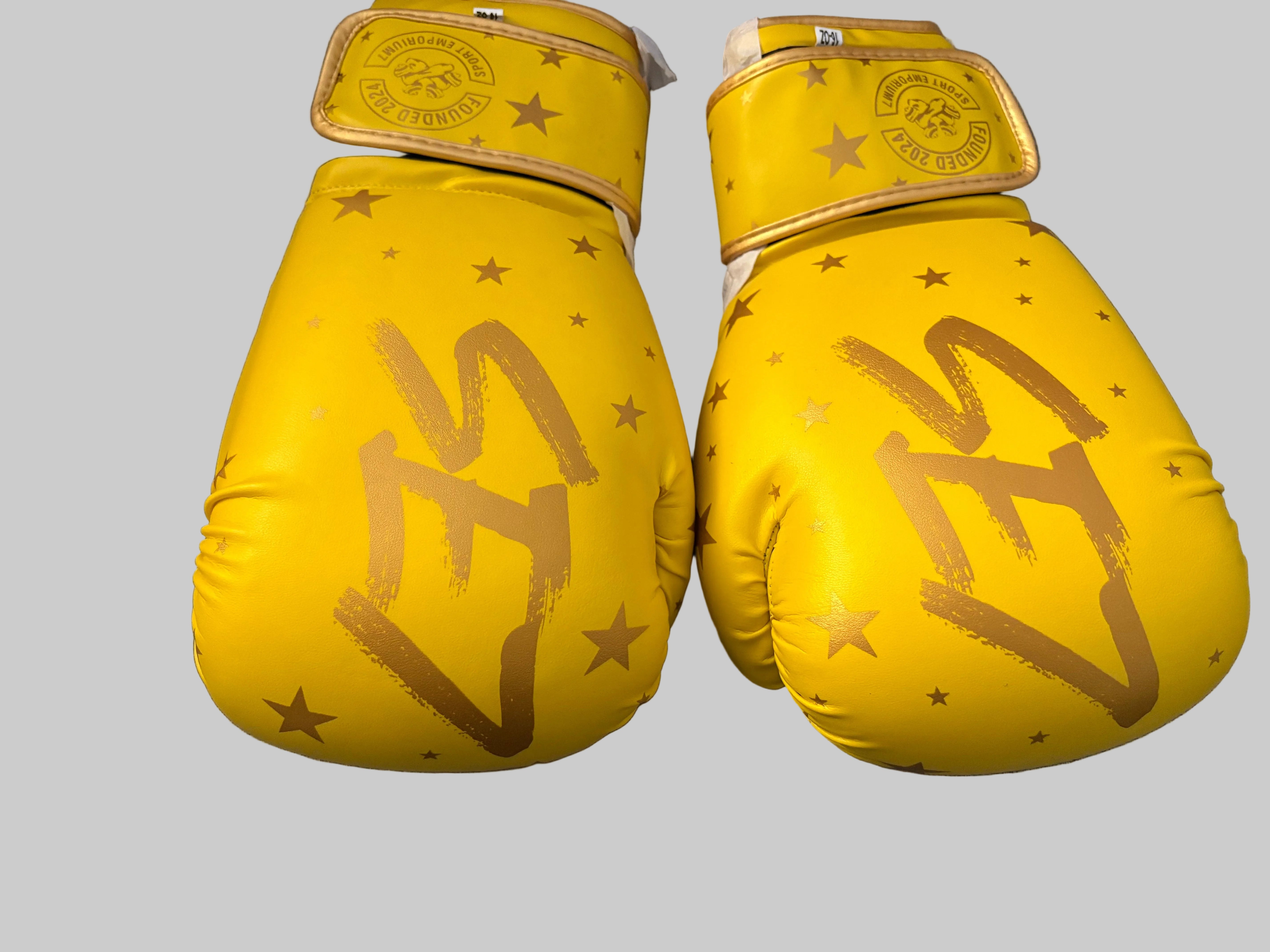 Official SE7 boxing gloves
