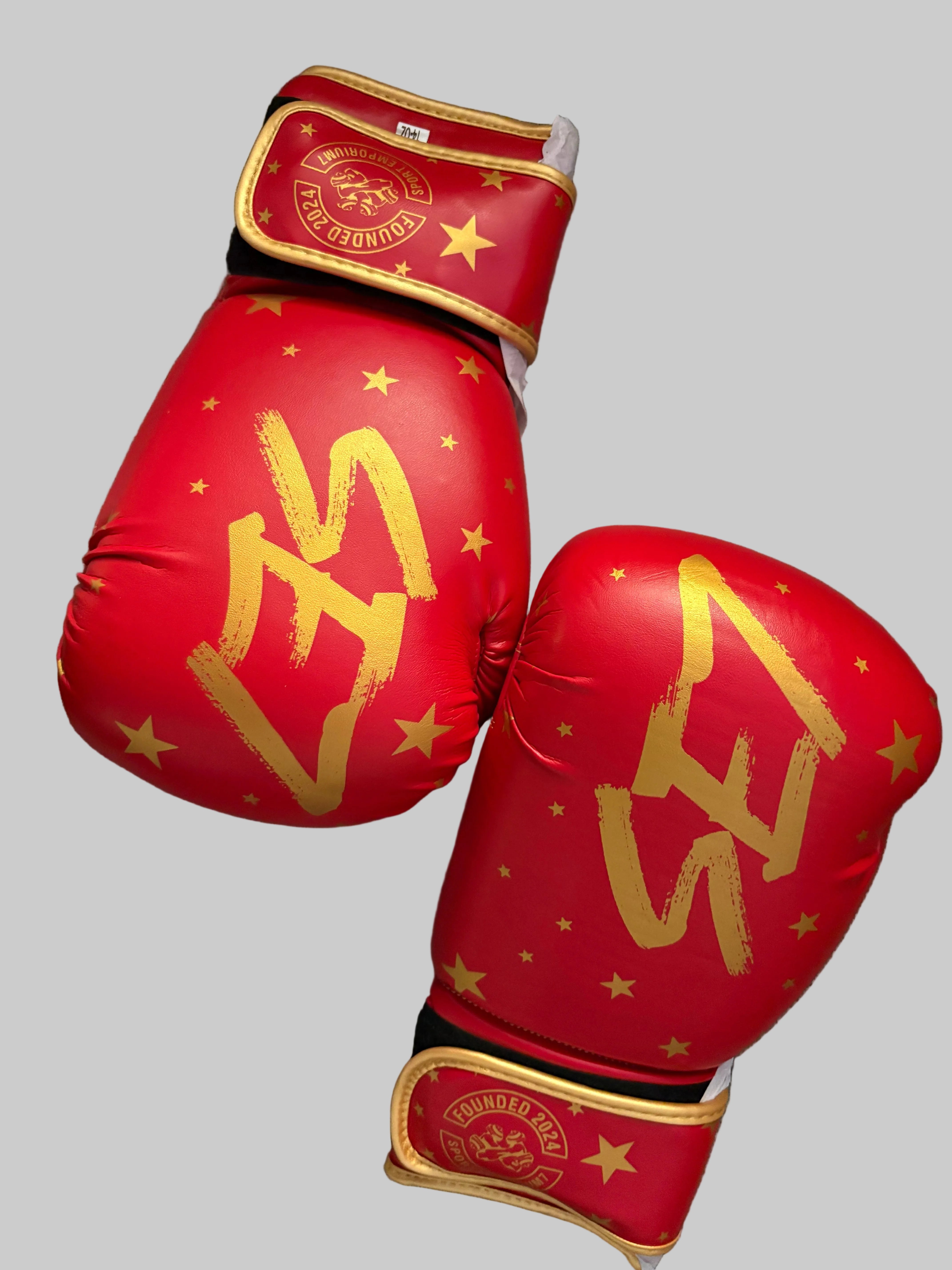 Official SE7 boxing gloves