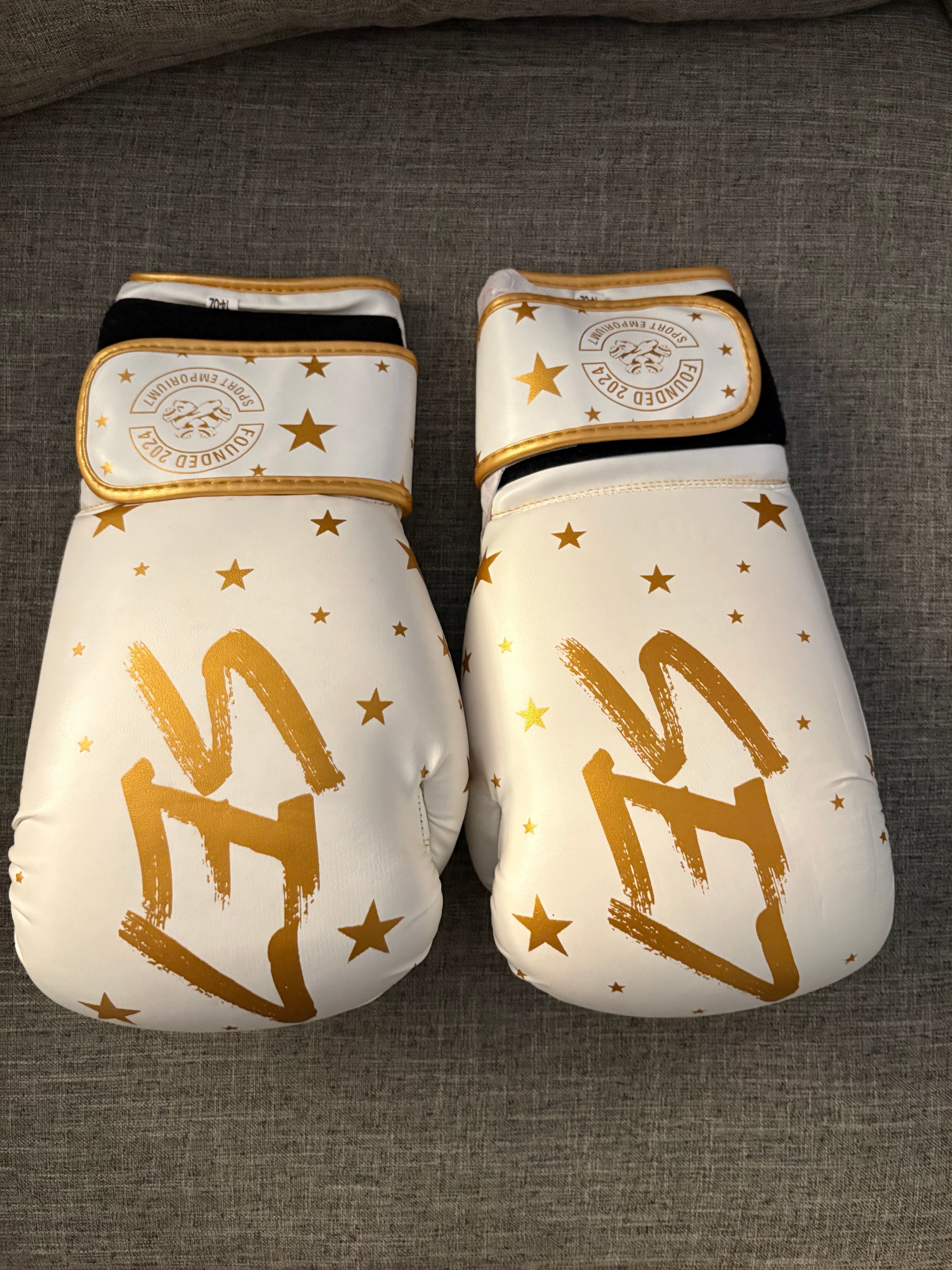 Official SE7 boxing gloves