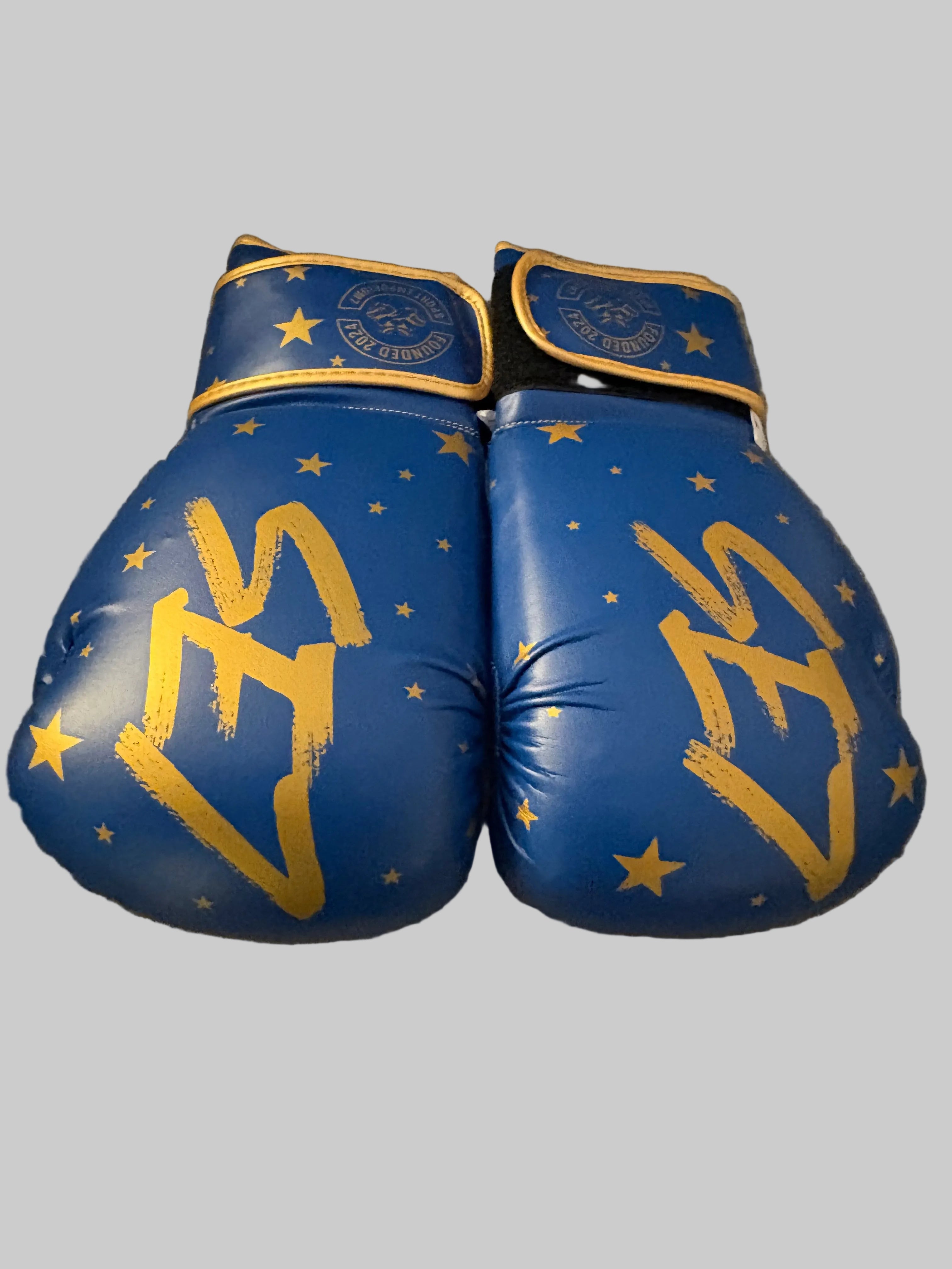 Official SE7 boxing gloves