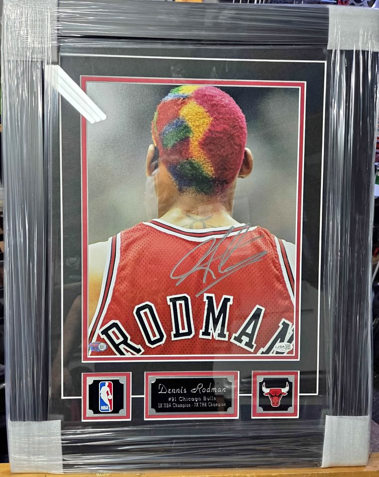 Signed Dennis Rodman Chicago Bulls 11×14 Framed Photo — JSA Certified