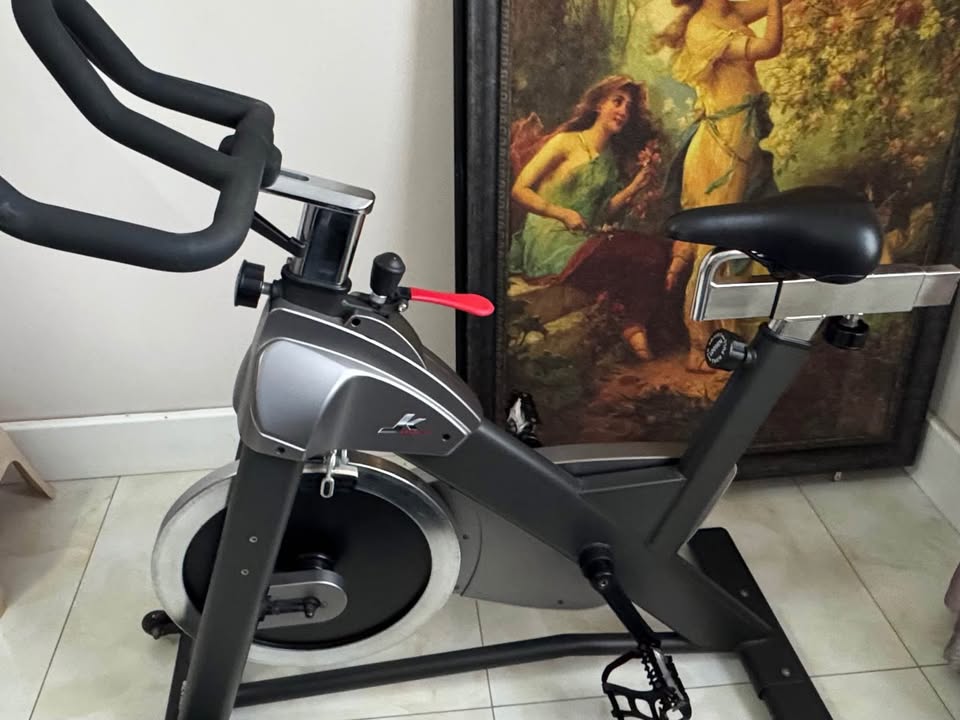 Exercise Bike (Like New)