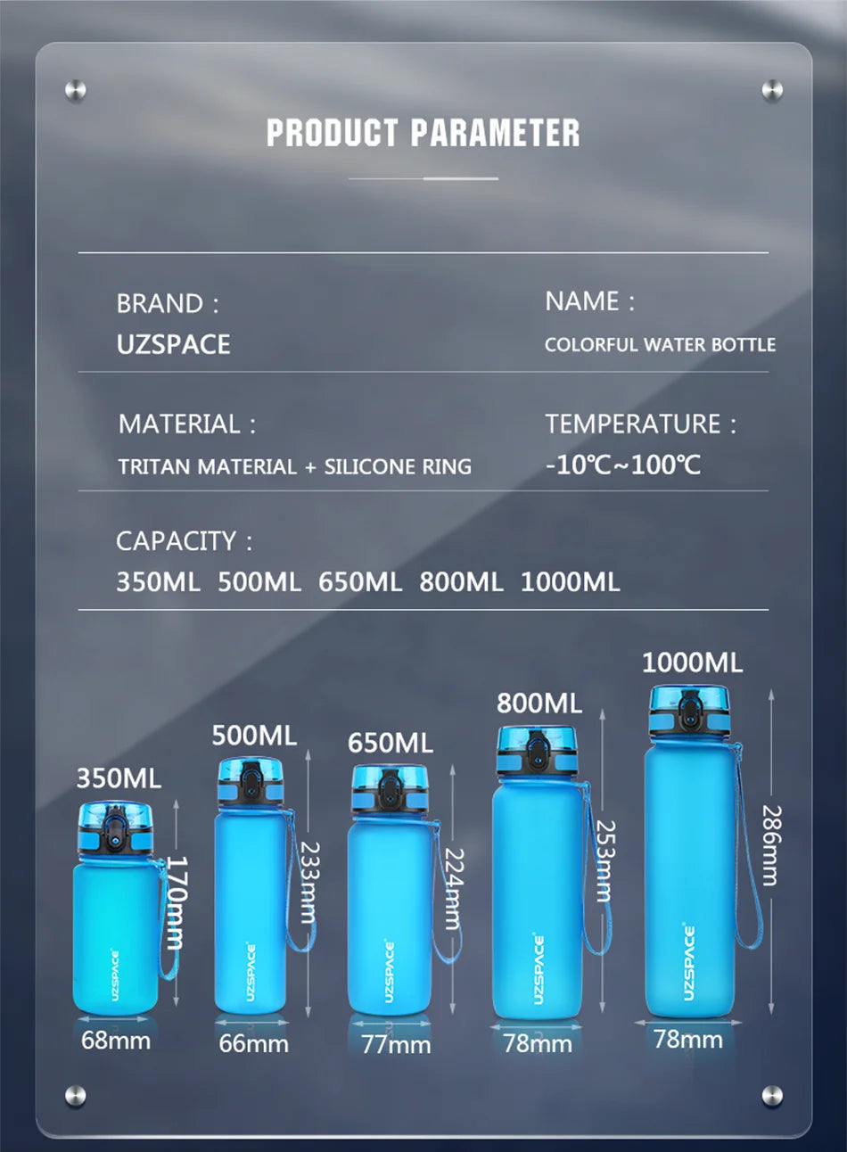 BPA-Free Sports Water Bottle | 500ml Tritan Frosted Plastic | Leakproof with Shaker & Tea Filter | Perfect for Gym & Travel