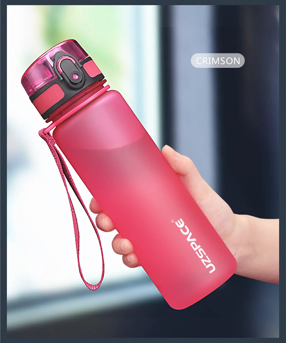 BPA-Free Sports Water Bottle | 500ml Tritan Frosted Plastic | Leakproof with Shaker & Tea Filter | Perfect for Gym & Travel