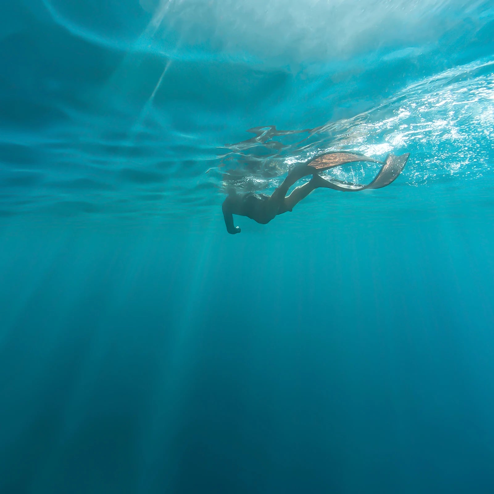 TAIITONEE Mini Scuba Diving Tank 0.5L High Pressure