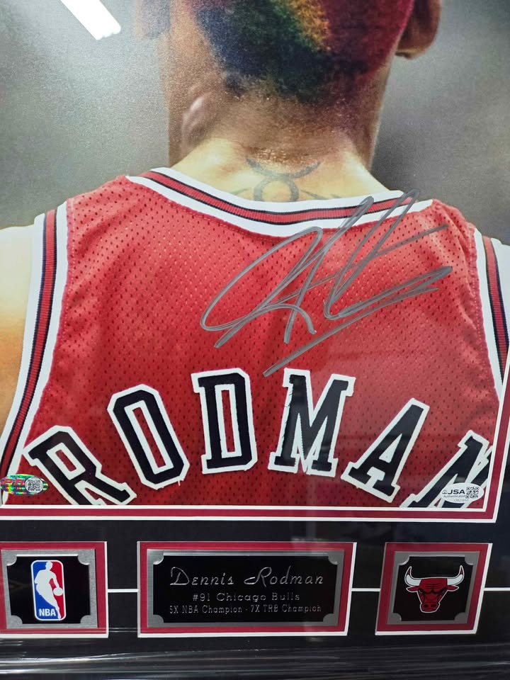Signed Dennis Rodman Chicago Bulls 11×14 Framed Photo — JSA Certified
